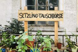 Die neue Pflanzen-Tauschbörse in Karlsruhe