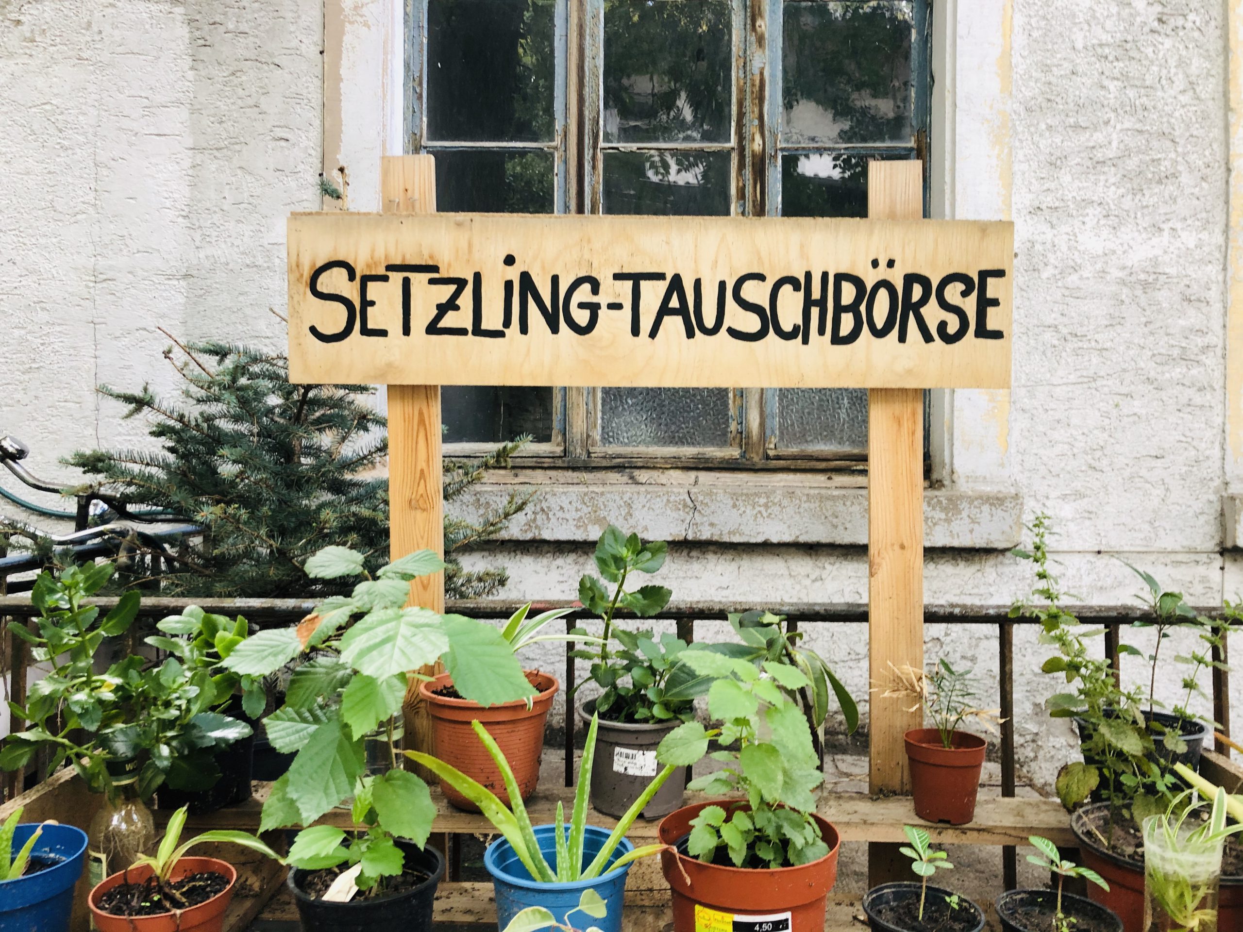 Die neue Pflanzen-Tauschbörse in Karlsruhe